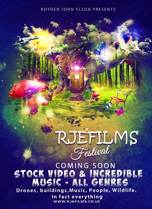 My festival photo My festival photo